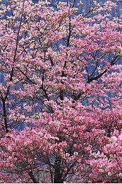 微软公布科隆游戏展Gamescom 2023计划＆阵容